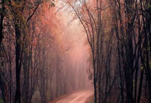 [欧冠]雷南-洛迪左路传中 莫拉塔头球打破僵局.