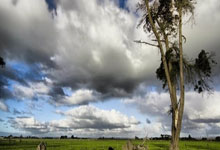 3比1击败中国 印尼首夺亚洲羽毛球混团赛冠军.