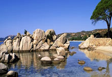 虎扑:巨神兵!波尔津吉斯半场9中6&三分4中3 高效砍17分6板&正负值+19.